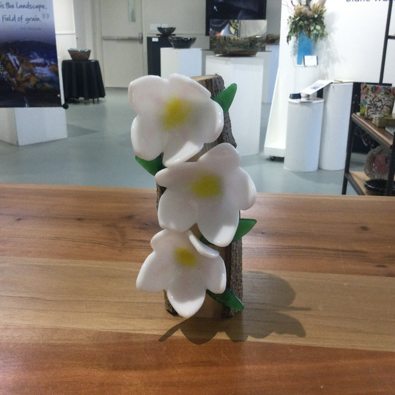 Three white glas flowers mounted on natural wod